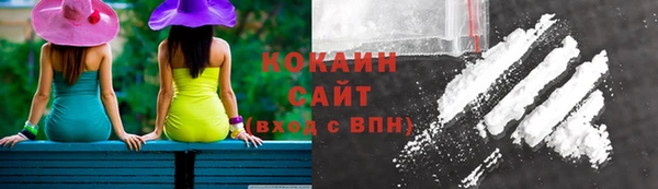 соль курить ск Дмитриев