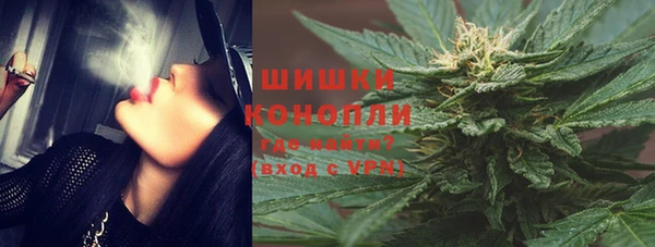 хмурый Дмитровск