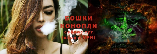 хмурый Дмитровск